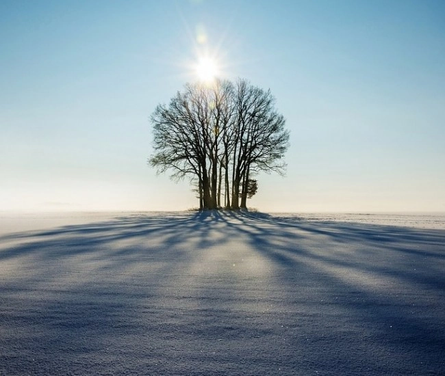 2017. február